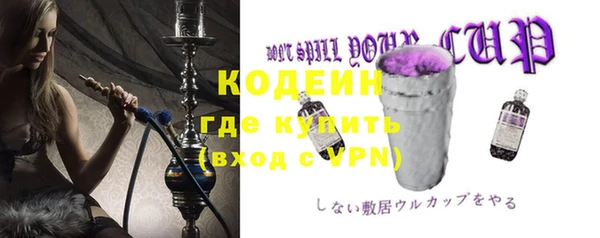 индика Кодинск
