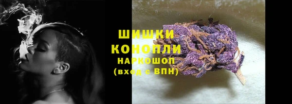 прущий лед Костерёво
