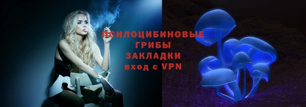 ешки Корсаков