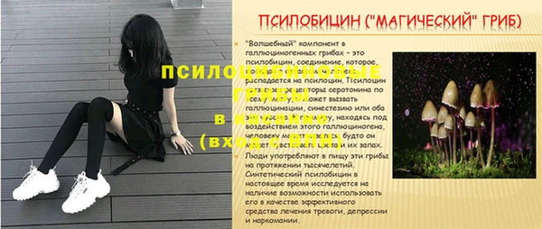ешки Корсаков