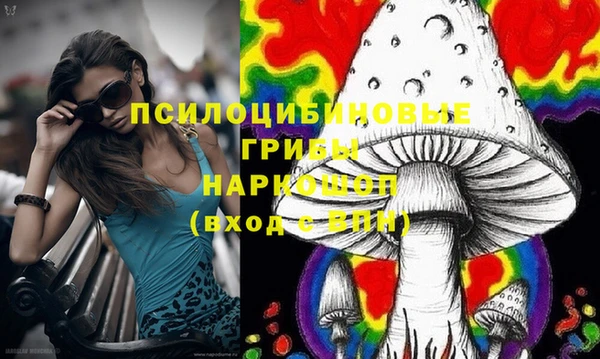 прущий лед Костерёво