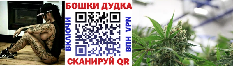 Бошки Шишки планчик  Купить  Новодвинск 